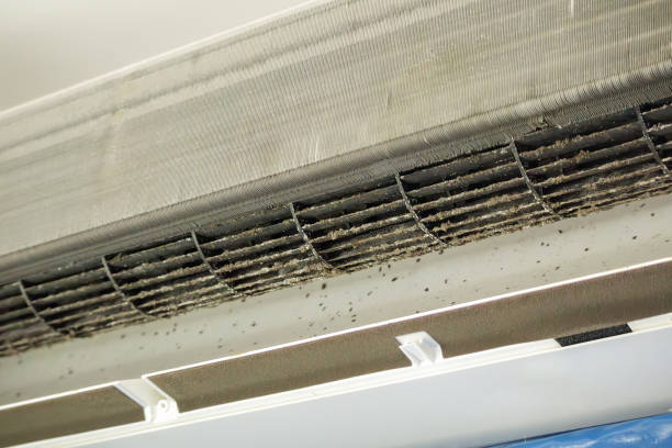 Best Home Air Vent Cleaning  in White Oak, TX