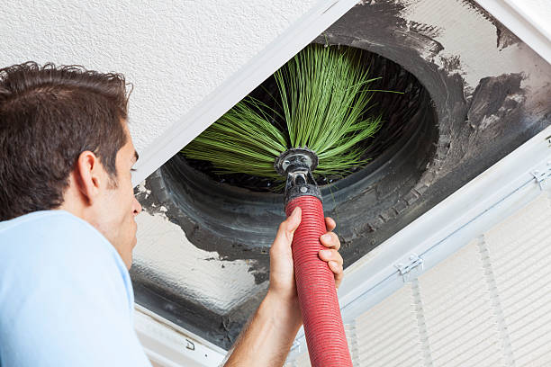 Best Local Air Duct Cleaning Services  in White Oak, TX